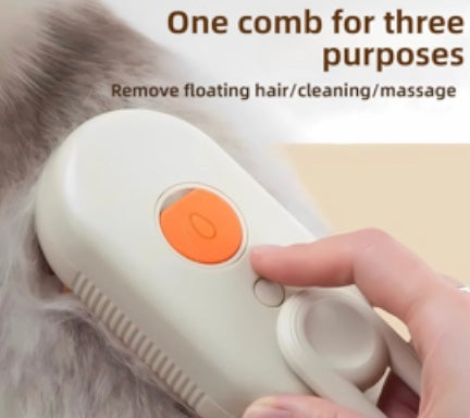 Electric Steam Brush
